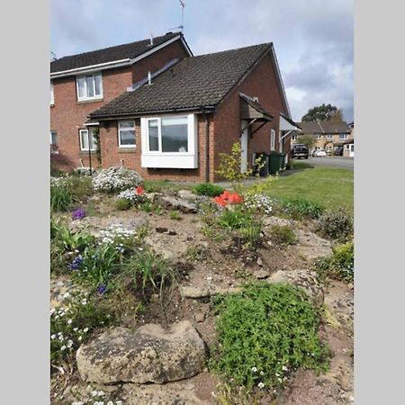 Stylish Studio Bungalow, Close To Cardiff Centre Extérieur photo